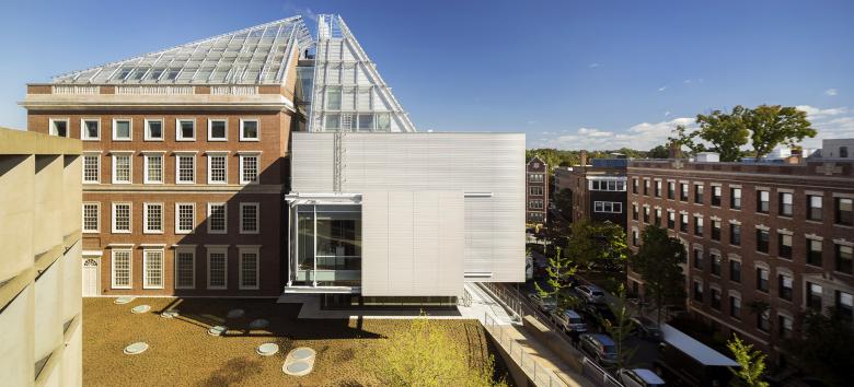 Harvard Art Museums renovation and expansion -