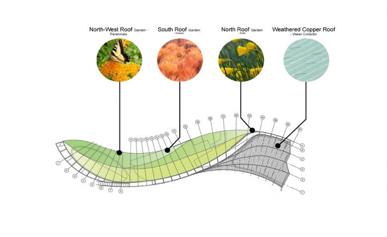 A Garden For The Next Century - Brooklyn Botanic Garden Landscape Plans Architecture Drawing Color Plan
