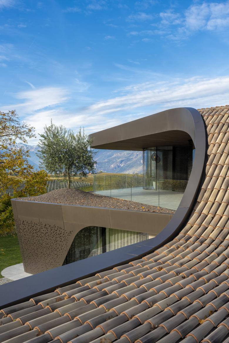 Villa EB: Organic architecture for a hou