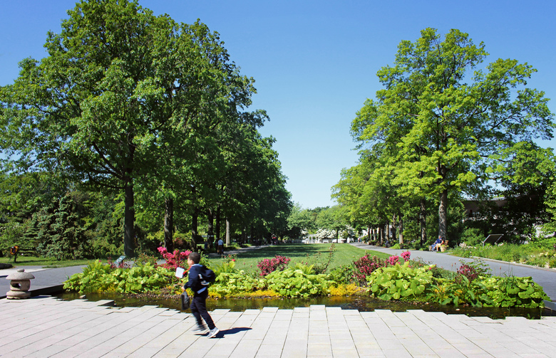 Queens Botanical Garden Abel Bainnson Butz Llp